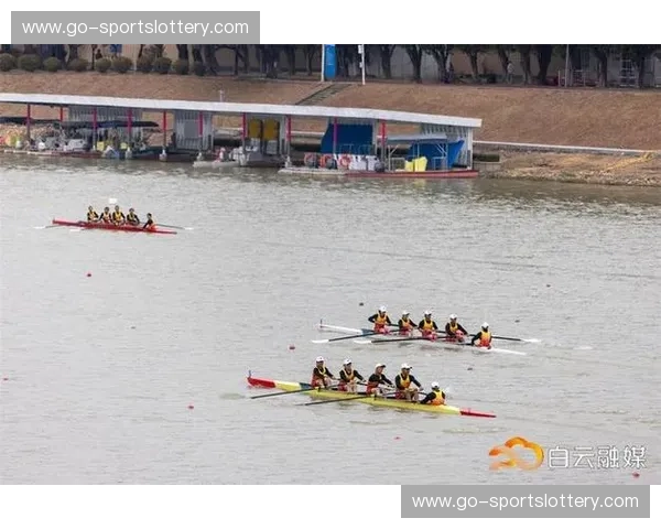 阵容赛艇：让你的团队搭配像划船一样顺畅